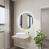 24 in. W x 24 in. H Round Frameless Backlit LED Light Anti-Fog Bathroom Vanity Mirror