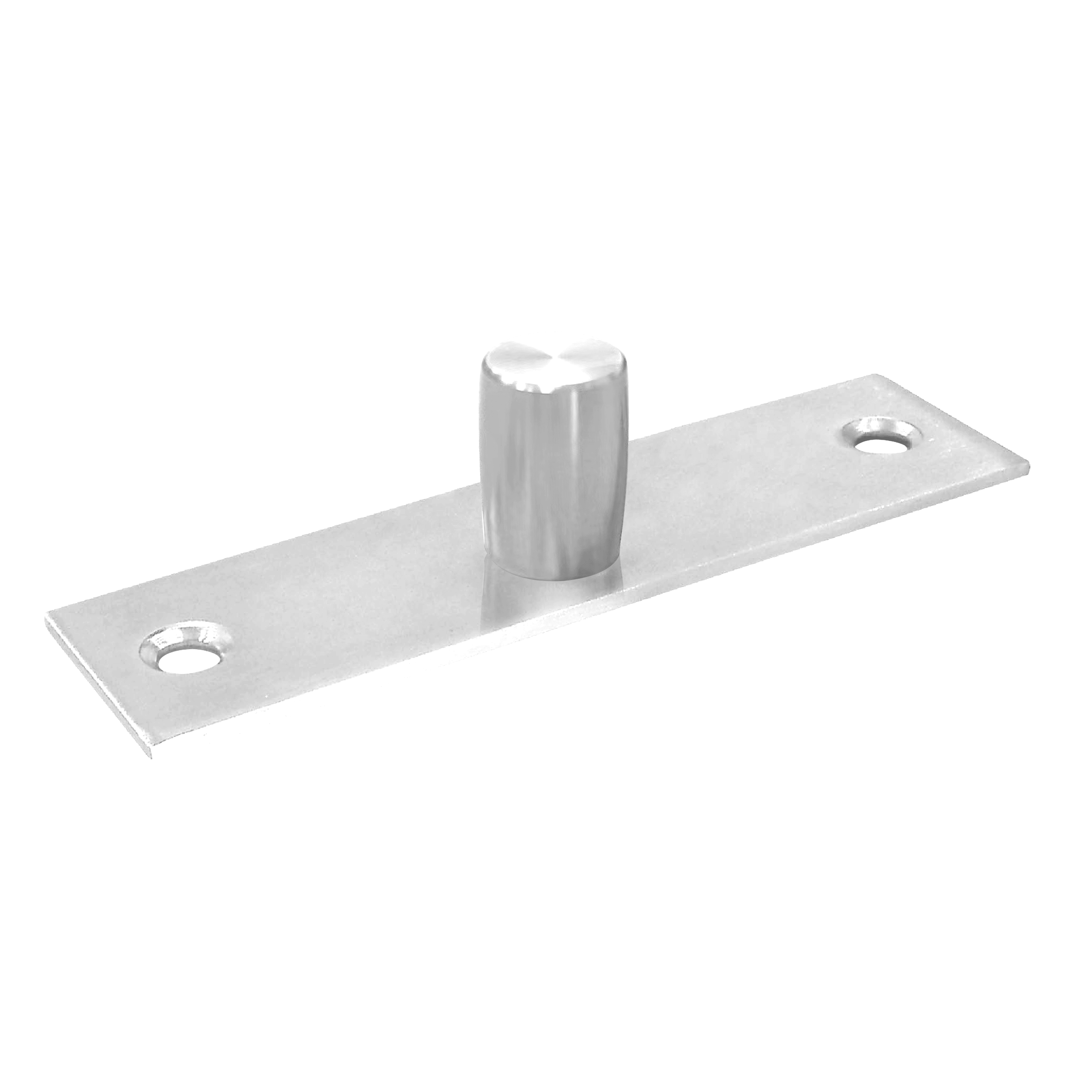 TOP CENTER-HUNG FREE SWING PIVOT..SS304