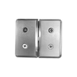 GLASS-TO-GLASS MOUNT PIVOT HINGE