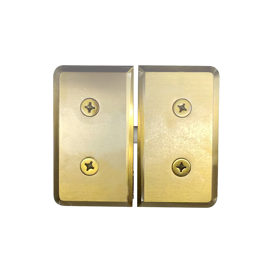 GLASS-TO-GLASS MOUNT PIVOT HINGE