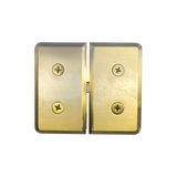 GLASS-TO-GLASS MOUNT PIVOT HINGE