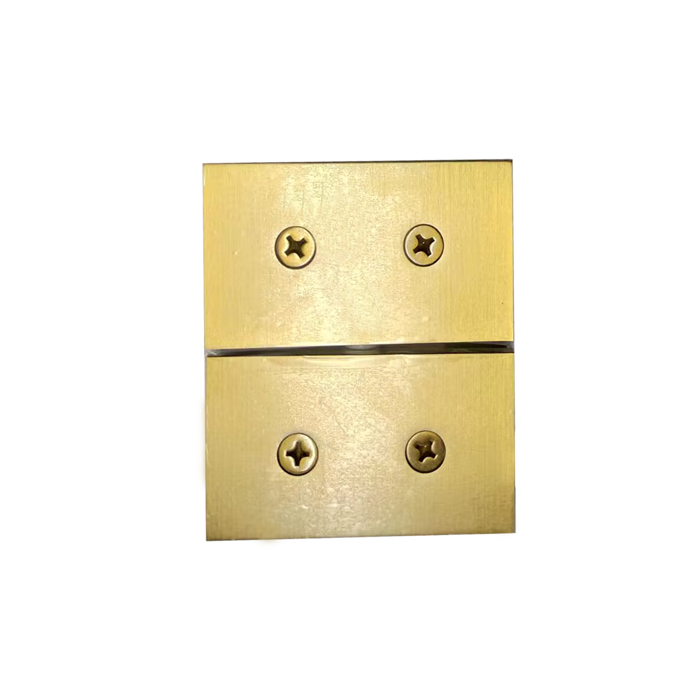 SQUARE GLASS-TO-GLASS MOUNT PIVOT HINGE