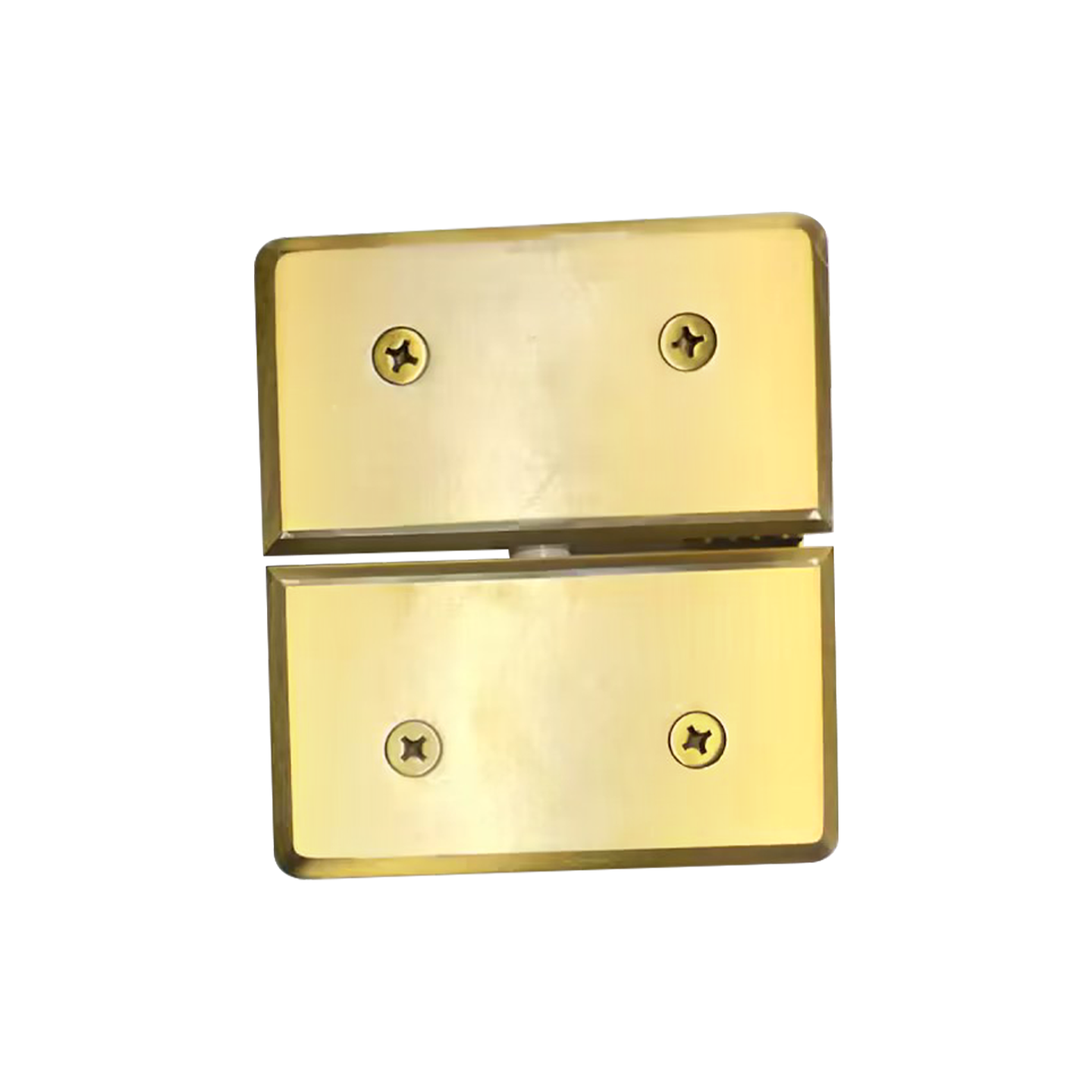 HEAVY DUTY GLASS-TO-GLASS MOUNT PIVOT HINGE