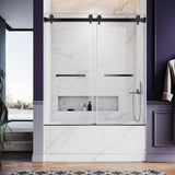 UKD01-56 to 60 in. W x 66in. 2TB H Double Sliding Frameless Shower Door, EnduroShield 3/8 in. Different Glass