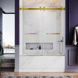 UKD01-56 to 60 in. W x 66in. 2TB H Double Sliding Frameless Shower Door, EnduroShield 3/8 in. Different Glass