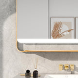 44 in. W x 33 in. H Rectangular Stain Steel Framed LED Light Anti-Fog Bathroom Vanity Mirror